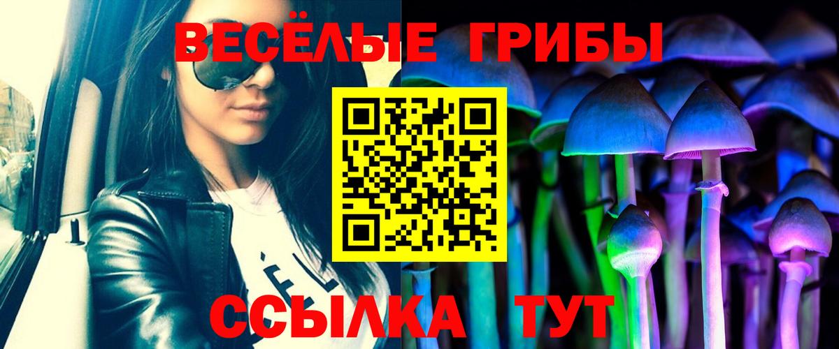 Псилоцибиновые грибы мухоморы Богородицк