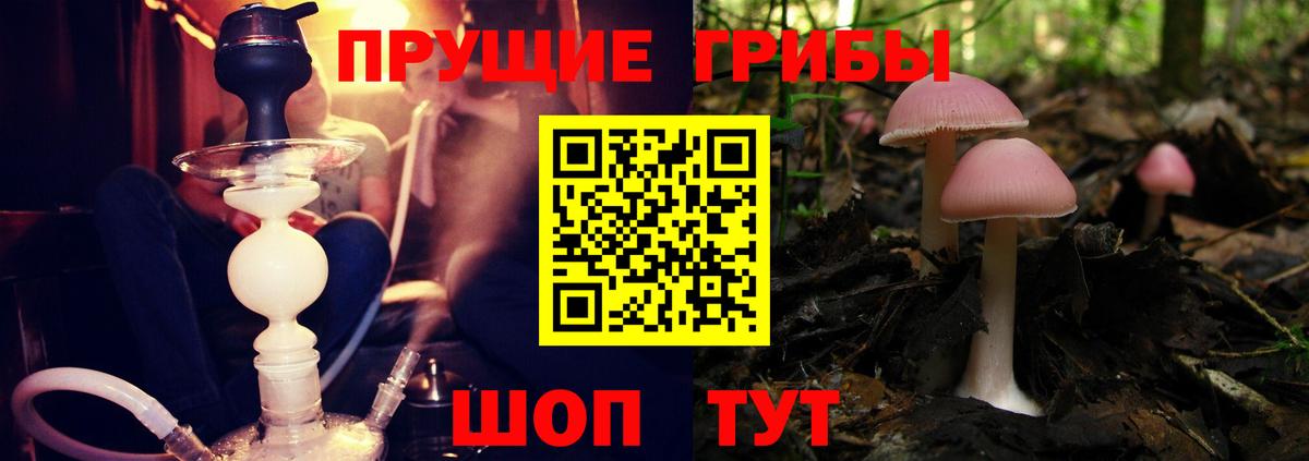 Богородицк  Галлюциногенные грибы мицелий  Вход с VPN  Псилоцибиновые грибы мухоморы 
